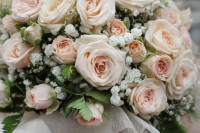 /album/photographer-kubareva-natalia/img-7599-jpg/